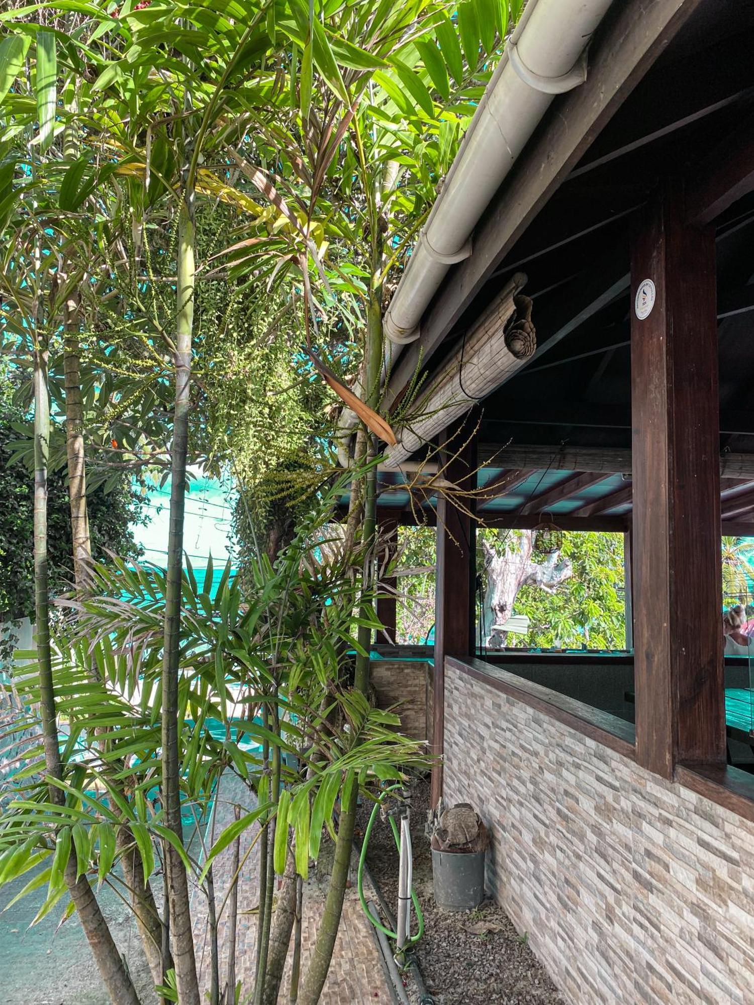 Divers Lodge Guest House Бо Валон Екстериор снимка